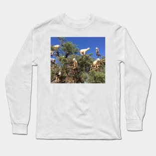 Goats in an argan tree Long Sleeve T-Shirt